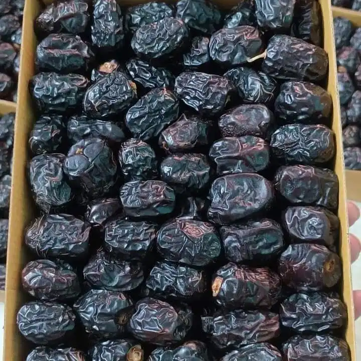 hzioh7pipeesfeugyket